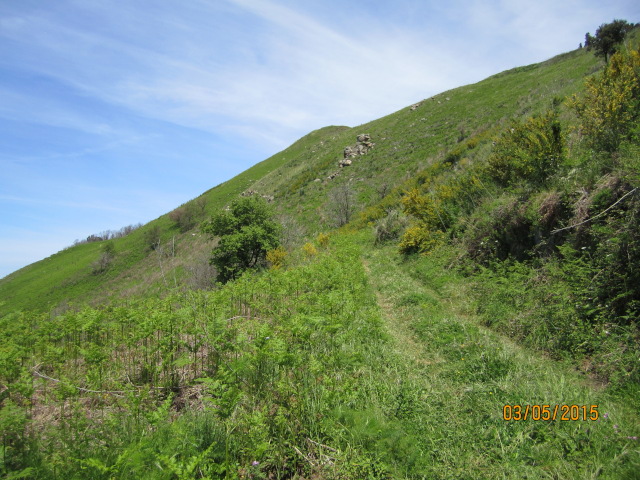 Sentiero Tracciolino (foto 24)