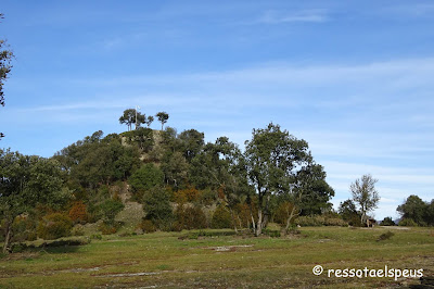 Camí a Sant Miquel de Sorerols