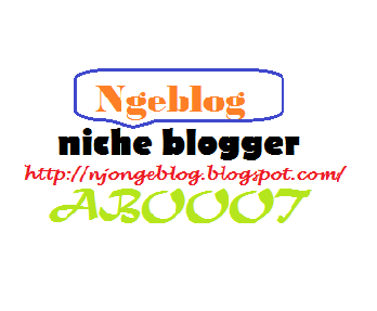 Niche blog "blogger" memang berat