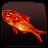 Splendid Alfonsino