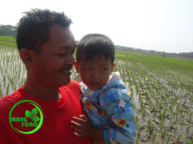 FOTO : Daripada ketiduran di saung, aku dan istri serta anakku memutuskan untuk pulang.... Hehehe