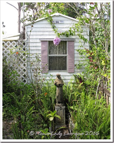 04-19-garlic-vine