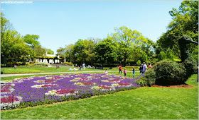 Pavo Real de Flores en el Dallas Arboretum & Botanical Garden