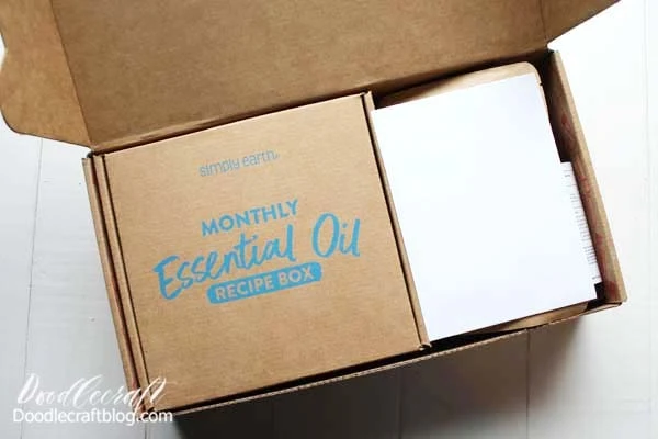 Also inside the Big Bonus Box is the Monthly Essential Oil Recipe Box. This is the monthly subscription box that will come every month, featuring a new theme. March is all about Beauty!