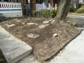 Paul Jung Gardening Services Toronto Gardening Company Davisville Mount Pleasant East Spring Front Garden Cleanup After