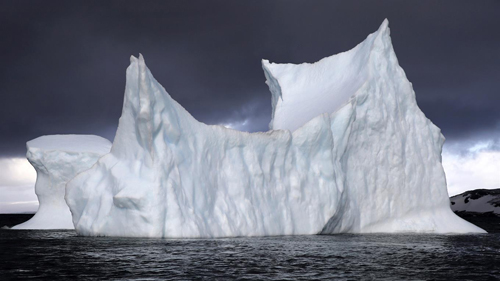 glaciar a la deriva en caleta Potter