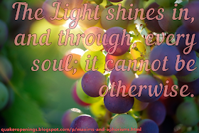A close-up of grapes ripening on the vine, sunlight shining through the bunch in focus. Text overlay reads "The Light shines in, and through, every soul; it cannot be otherwise."