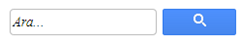 Google Tarzı Sabit Arama Kutusu