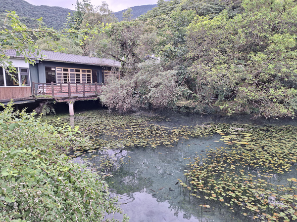 花蓮光復馬太鞍濕地生態園區、休閒農業區、木棧道，生態之旅