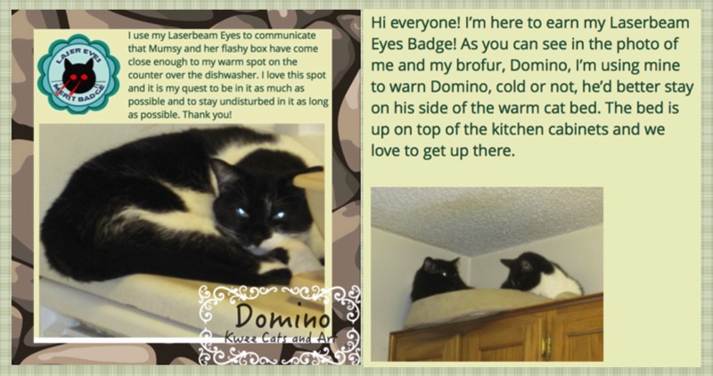 Domino Oliver Laser Eyes OTRB POST