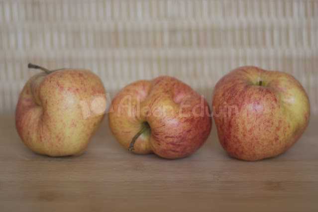 Three misshapen apples on wooden surface