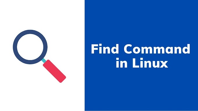How to find all files with same extension using find command 