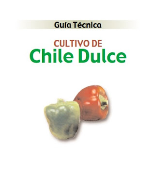 cultivo chile