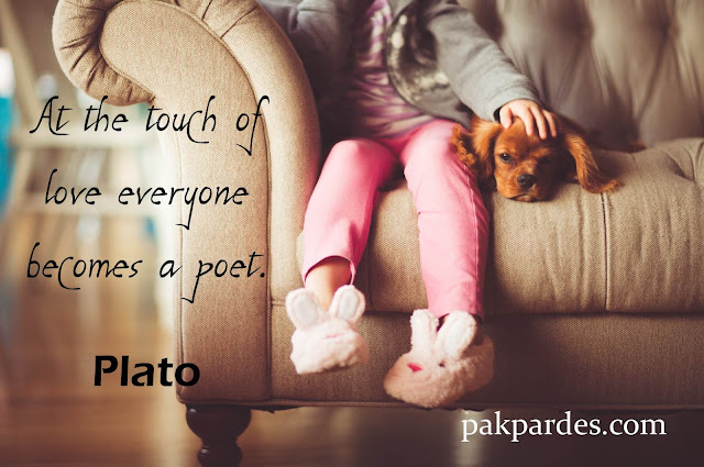 At the touch of love everyone becomes a poet. - Plato,love,love quotes,quotes,best love quotes,romantic quotes,love quotes for him,love quotes and sayings,movie love quotes,famous quotes,what is love,sweet quotes,inspirational quotes,love messages,love (quotation subject),love quotes for him from her,love quotes for her,beautiful love quotes with images,love quotes for husband,quotes about love,beautiful love quotes,inspirational love quotes