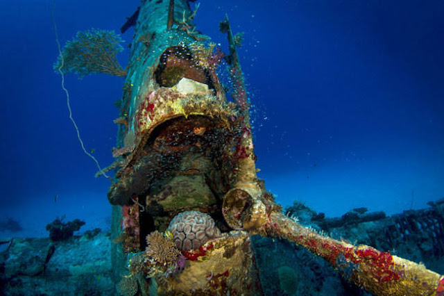 Aviões da Segunda Guerra Mundial abandonados transformados em belos Santuários para a vibrante vida do Oceano