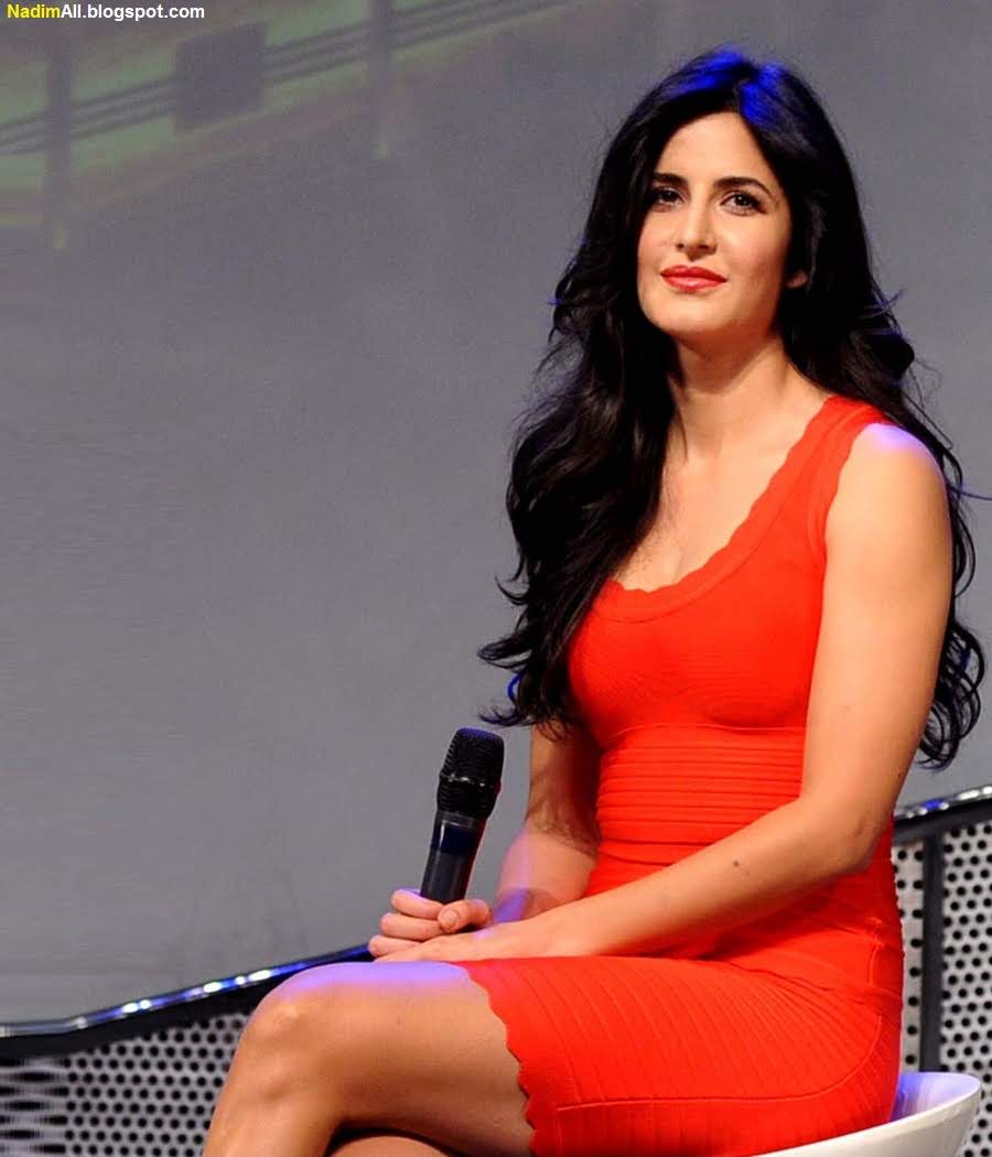 katrina-kaif-hot-2013