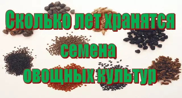 Сколько лет хранятся семена овощных культур