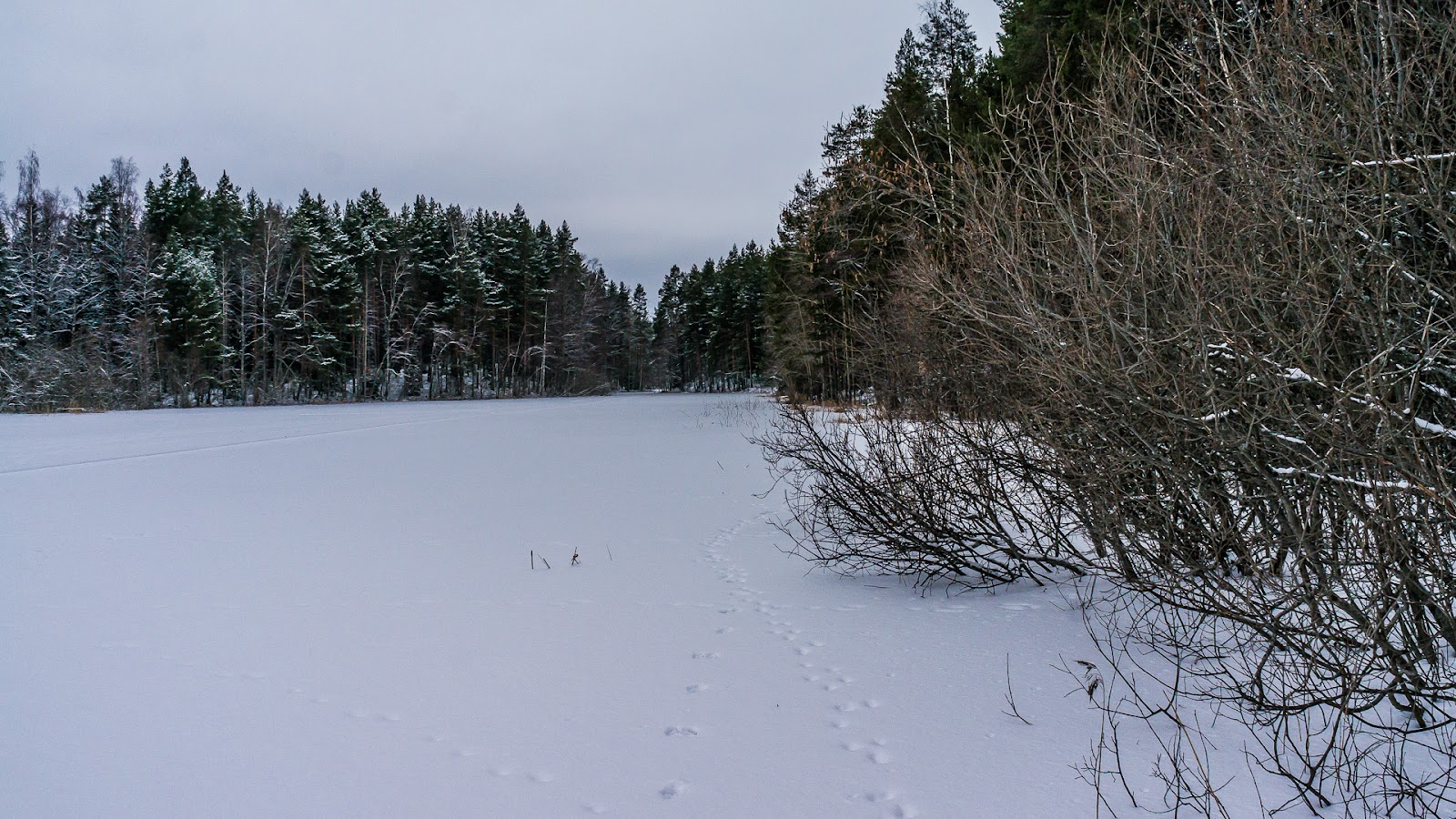  Särkkä-2014-01-26