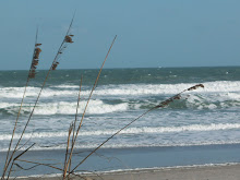 where i live