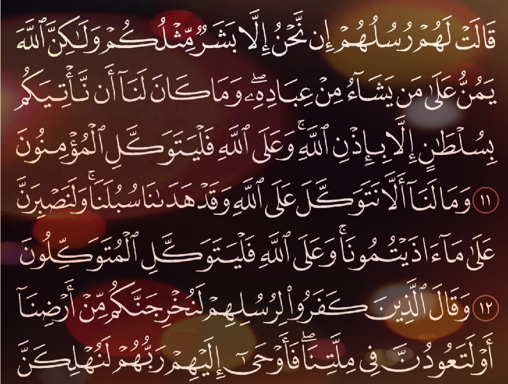 شرح وتفسير, سورة ابراهيم, Surah Ibrahim, من الآية 11, إلى الاية 24,  surah rahman,quran,surah yaseen,surah yasin,surah,yaseen surah,yasin surah full,yaseen surah full,surah yasin full,surah yaseen ki tilawat, quran,سورة البقرة,سورة يس,سورة الملك,سورة الواقعة,سورة البقرة ماهر المعيقلي,سورة الرحمن,سورة,سورة البقرة السديس,سورة الكهف عبد الباسط