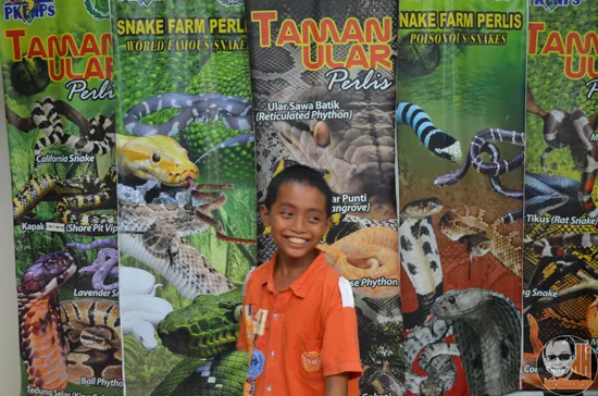 Gambar Sekitar Taman Ular dan Reptilia Negeri Perlis (Snake Farm Perlis)