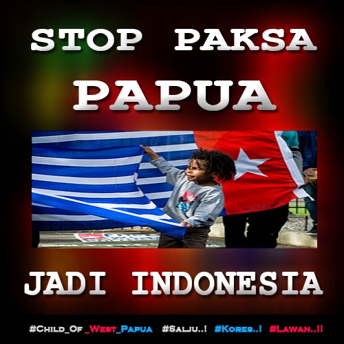 5 Hal Tentang Pemerintah Indonesia Di Tanah Papua.