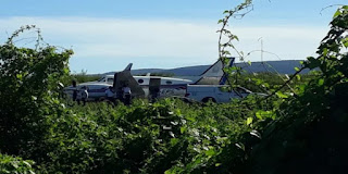 Avião com doses da vacina da Covid-19 se choca com animal em pista de aeródromo na Bahia