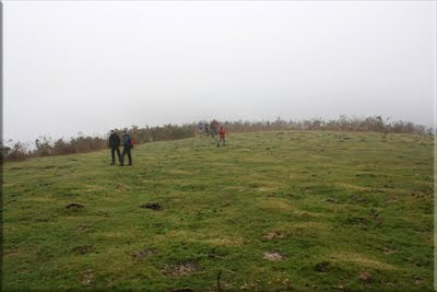 Llegamos a una pequeña pradera herbosa