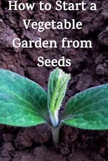 How to Start a Vegetable Garden from Seeds