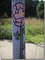 bayoffundy.ca-STREET ART A small collection from Saint John NB.pdf - Adobe Acrobat Professional