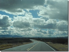 DSCN2551