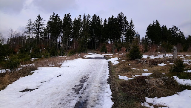 Sauerland wandern Wetter blog Willingen Ettelsberg Hochheide Loipe