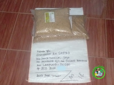 Benih pesanan  GUNAWAN BIN SASTRO Tulang Bawang, Lampung  (Sebelum Packing)