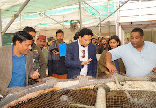 first hydroponic olyhouse of uttarakhand