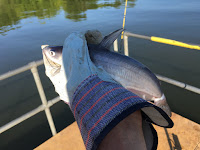 Catfishing, fishing, Fishing in Missouri