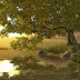 Lake Tree 3D Screensaver v1 + Patch