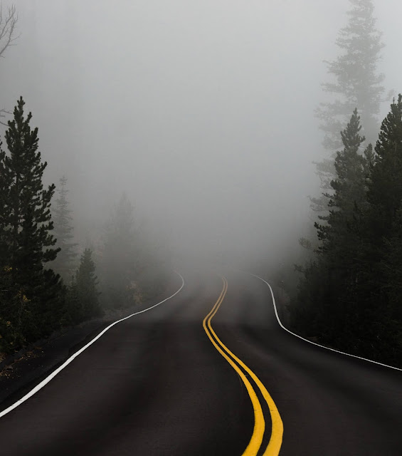 foggy road