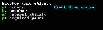 dwarf-fortress-adventurer_21