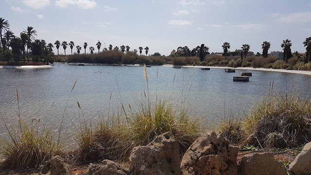 Botanicactus Botanischer Garten Mallorca