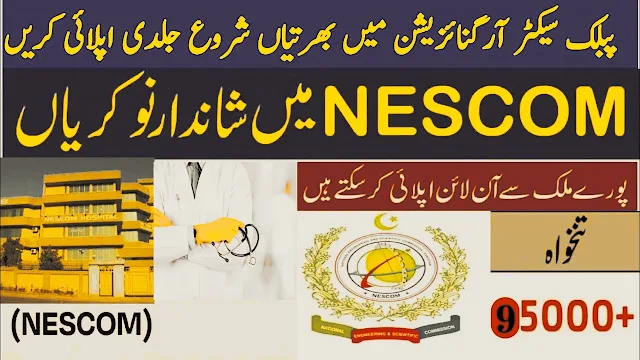 Today Job Apply for NESCOM Jobs 2023 at careerjobs91.com.pk