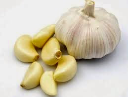 Garlic for hair loss