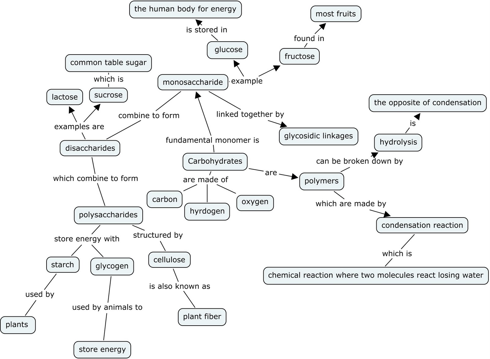 Brains for Bio!: Carbohydrates :)