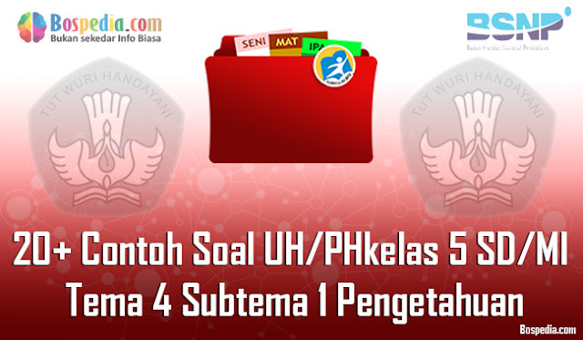 20+ Contoh Soal UH / PH untuk kelas 5 SD/MI Tema 4 Subtema 1 Pengetahuan