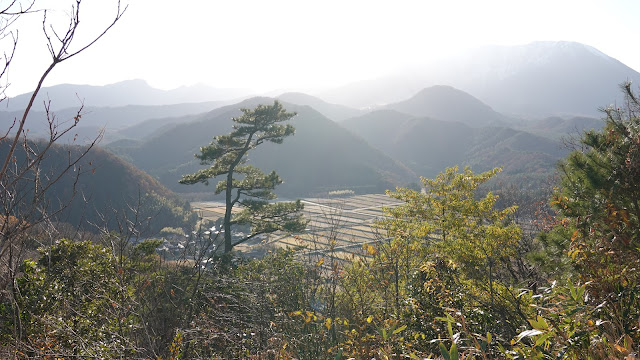 鳥取県西伯郡大山町鈑戸 鈑戸山 山頂