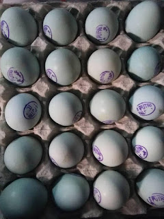 Telur Asin Banjarmasin