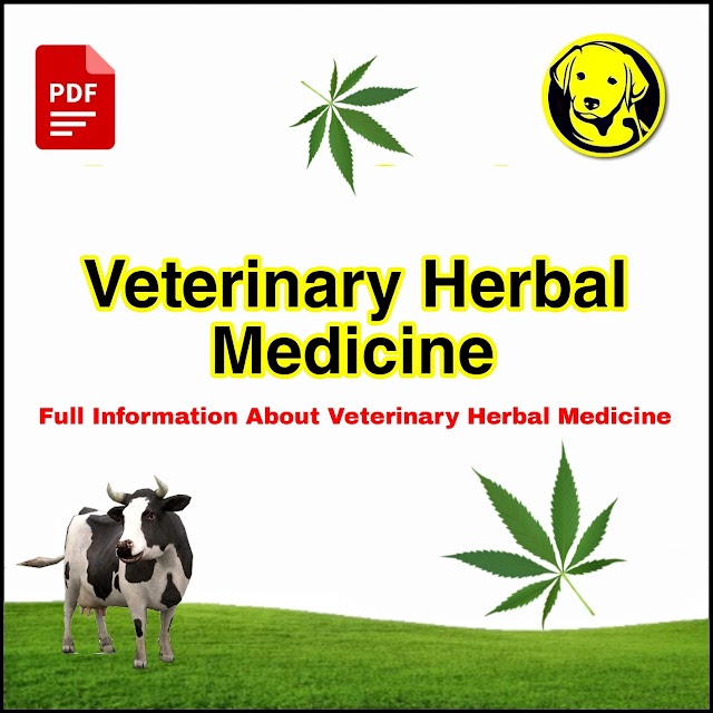Free Download Herbal Medicine Full Pdf