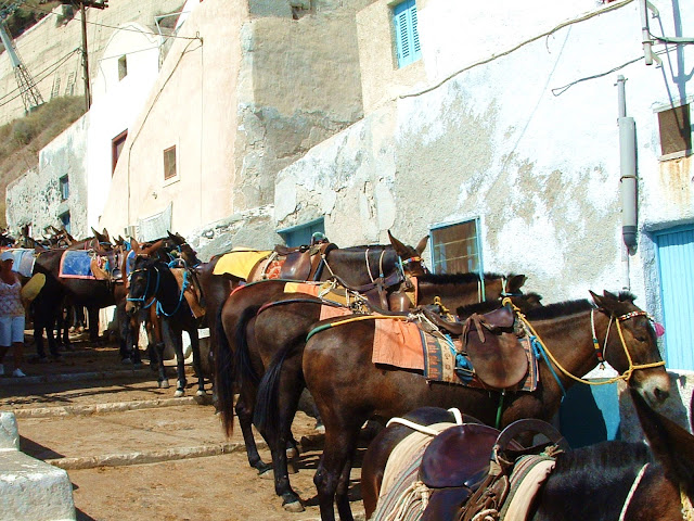 Santorini mule ride