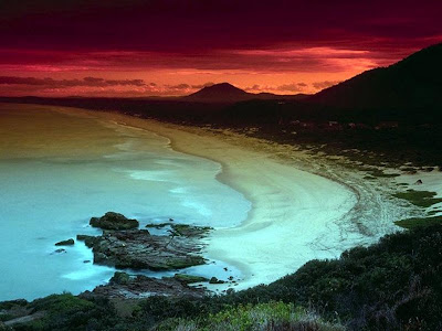 beach and sea