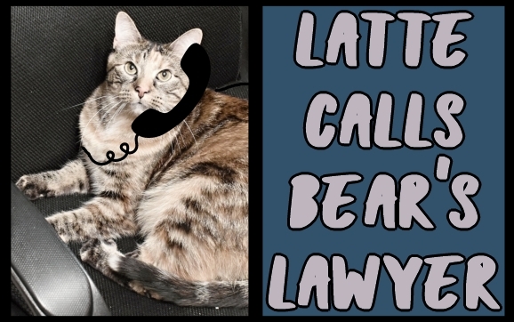 Latte calls Bear's lawyer