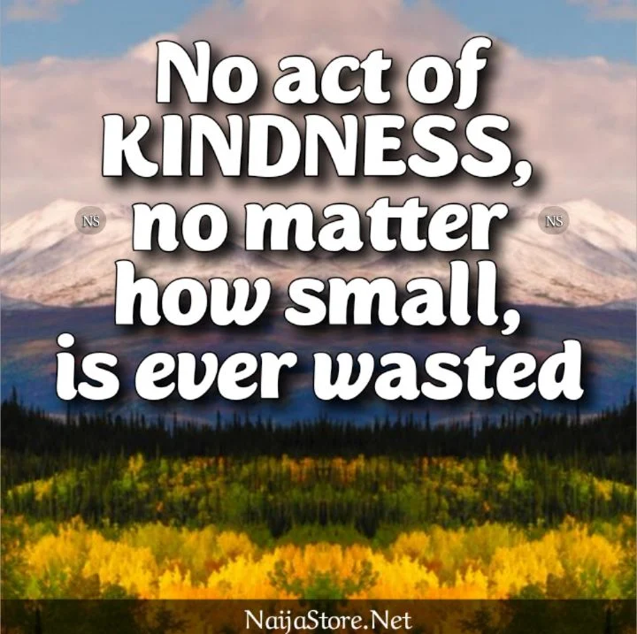 Kind Quotes: No act of KINDNESS, no matter how small, is ever wasted - Motivation